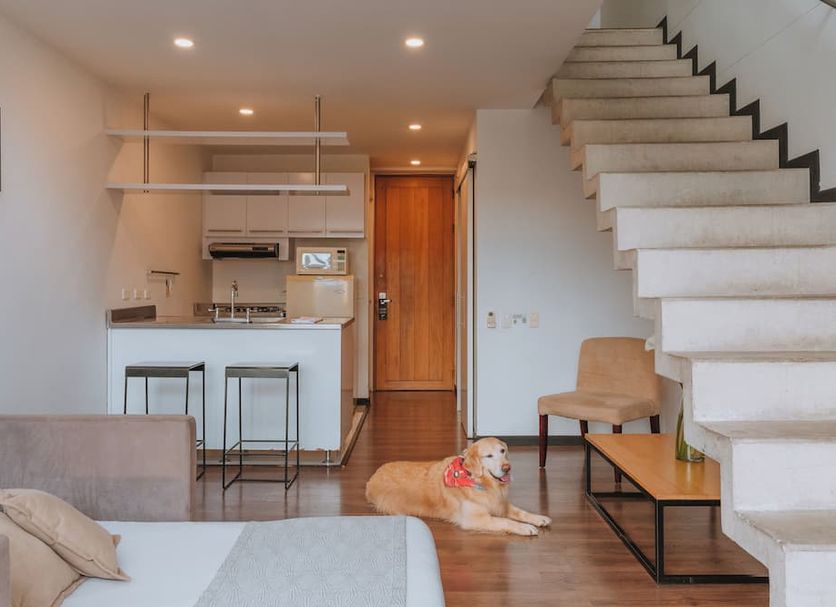 Σαλόνι Φωτογραφία