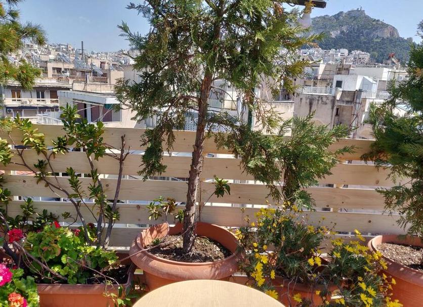 Θέα στην ύπαιθρο Φωτογραφία