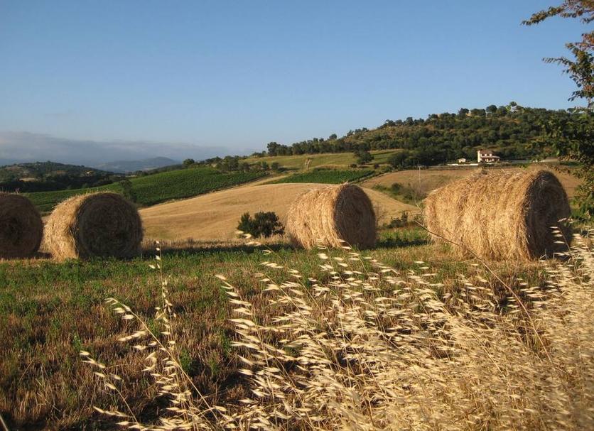 Θέα στην ύπαιθρο Φωτογραφία