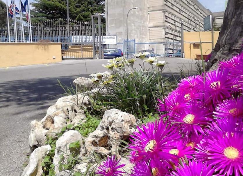 Θέα στην ύπαιθρο Φωτογραφία