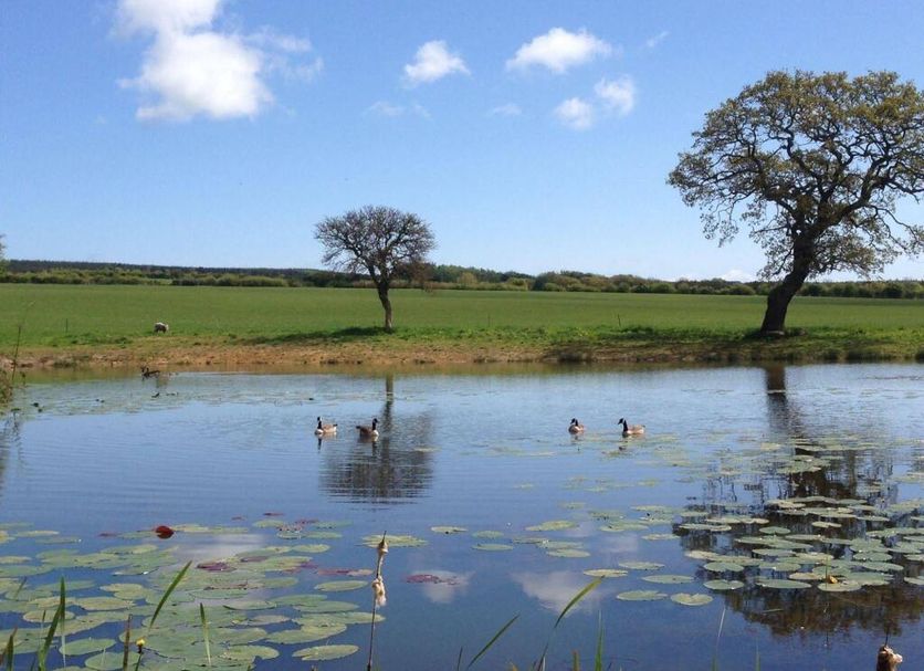 Θέα στην ύπαιθρο Φωτογραφία