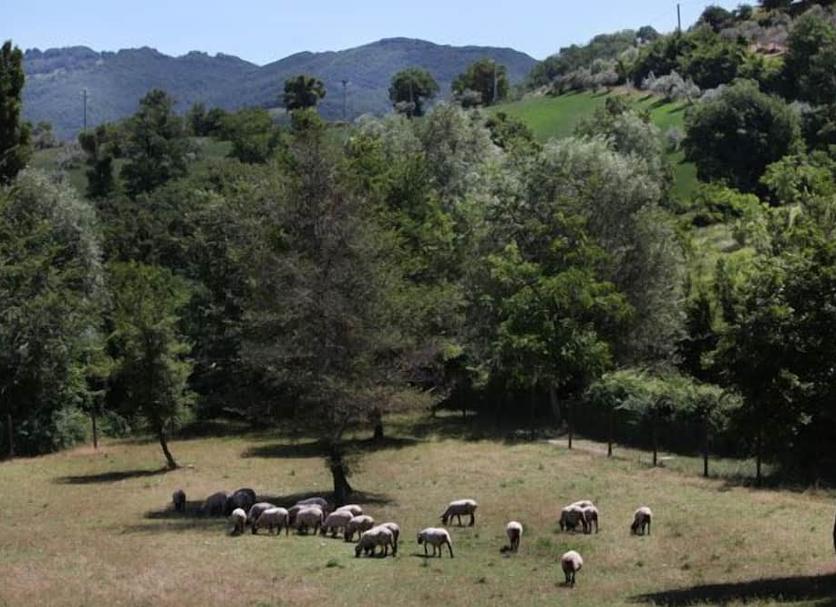 Θέα στην ύπαιθρο Φωτογραφία