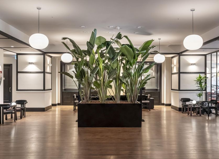 Σαλόνι ξενοδοχείου Φωτογραφία