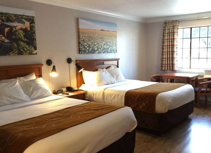 Κρεβατοκάμαρα Φωτογραφία