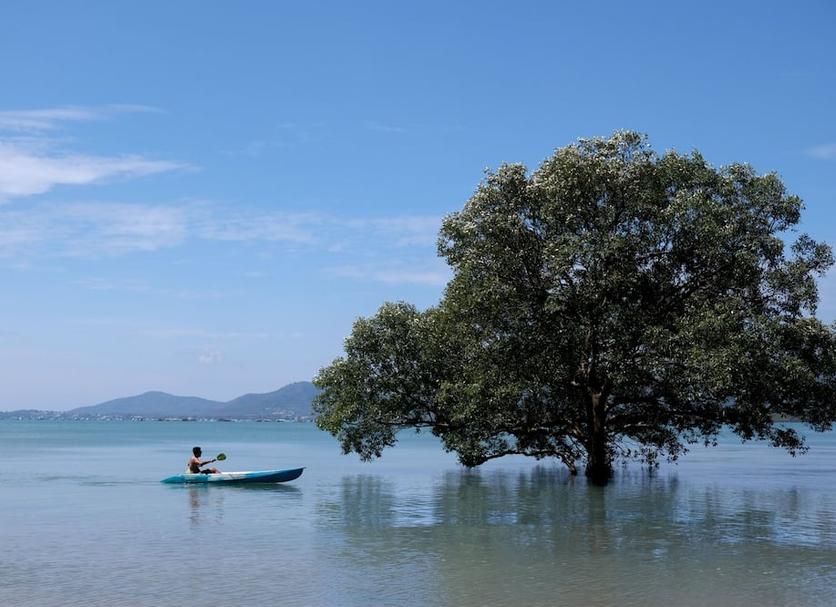Άλλο Φωτογραφία