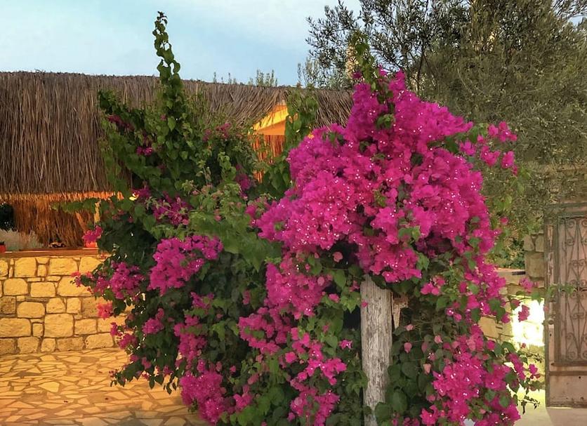 Θέα στην ύπαιθρο Φωτογραφία