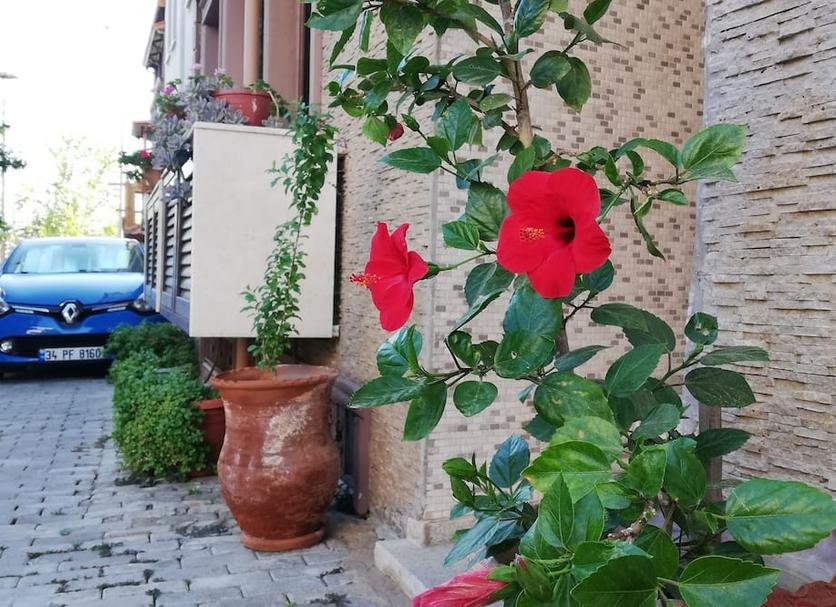 Θέα στην ύπαιθρο Φωτογραφία