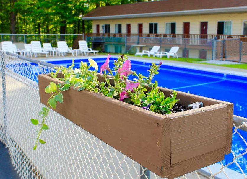 Πισίνα Φωτογραφία