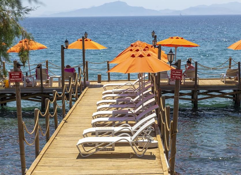 Άλλο Φωτογραφία