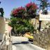 Θέα στην ύπαιθρο