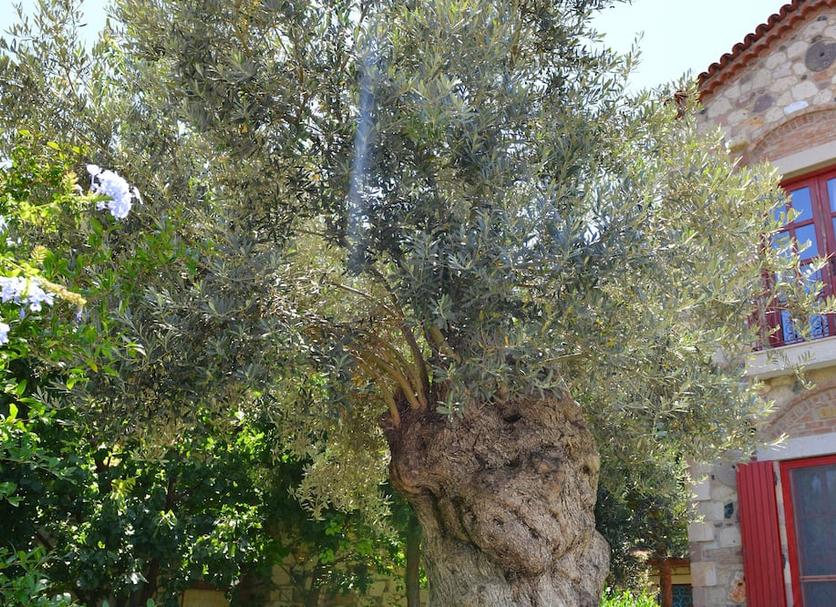 Θέα στην ύπαιθρο Φωτογραφία