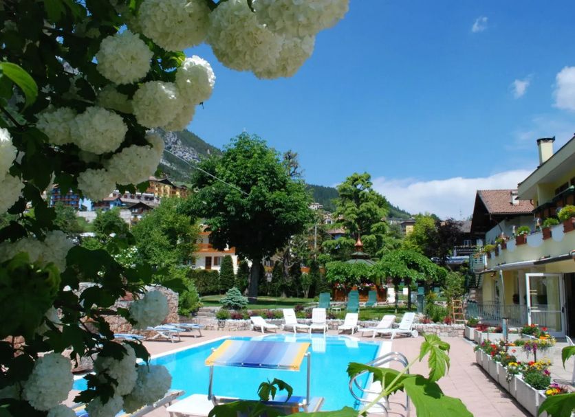 Άλλο Φωτογραφία