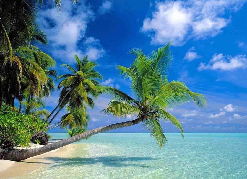 Παραλία Φωτογραφία