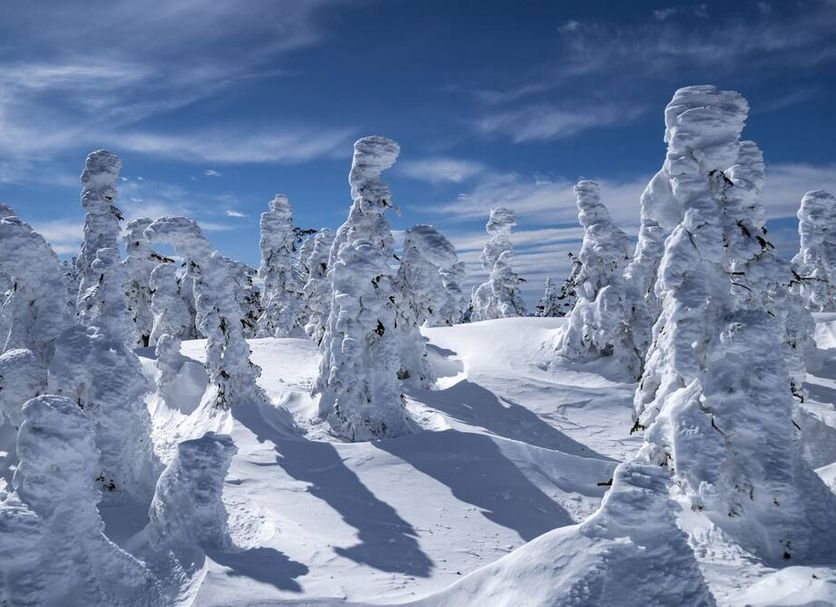 Άλλο Φωτογραφία