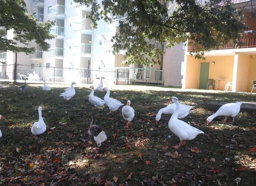 Θέα στην ύπαιθρο Φωτογραφία