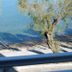 Άλλο