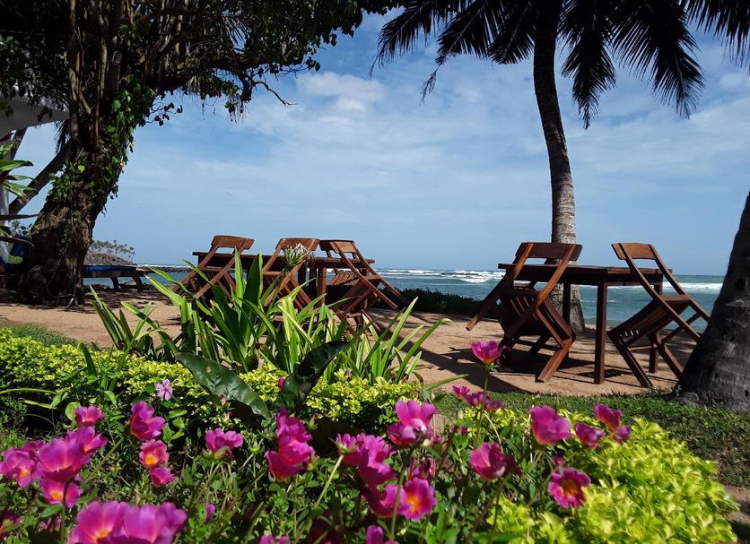 Εστιατόριο Φωτογραφία