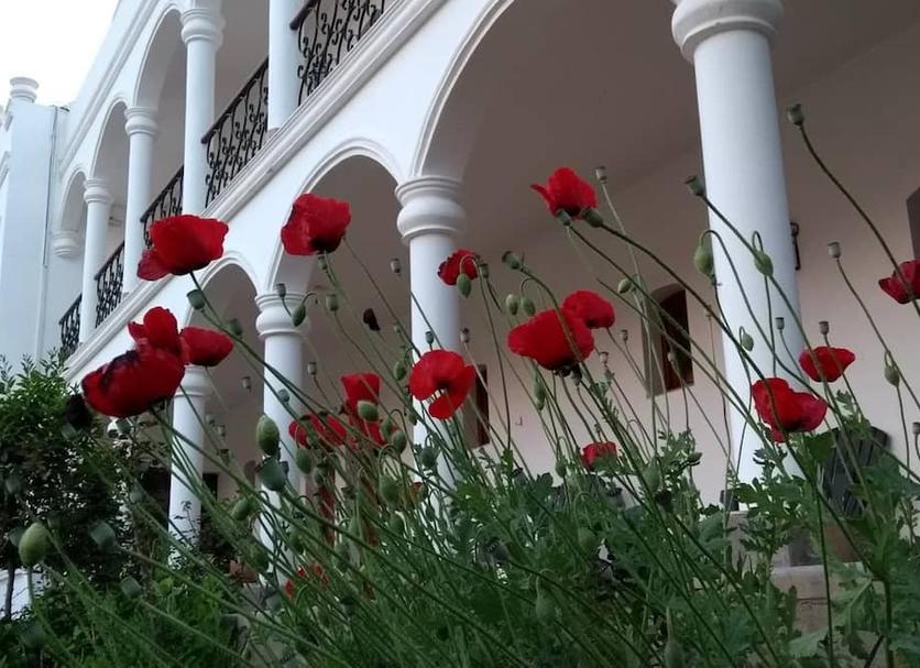 Θέα στην ύπαιθρο Φωτογραφία