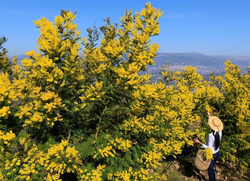 Θέα στην ύπαιθρο Φωτογραφία