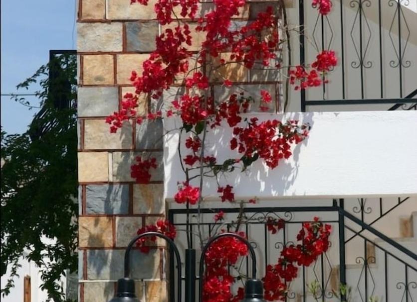 Θέα στην ύπαιθρο Φωτογραφία