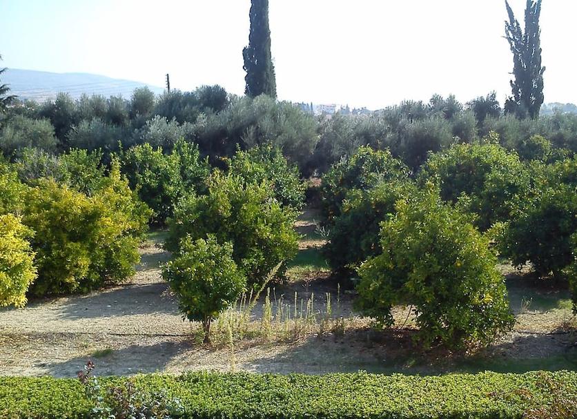 Θέα στην ύπαιθρο Φωτογραφία
