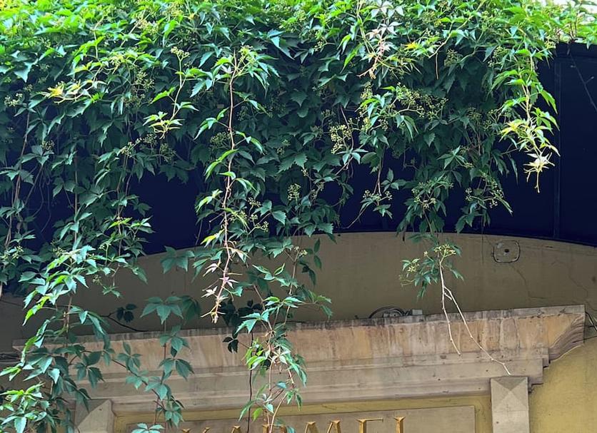 Θέα στην ύπαιθρο Φωτογραφία
