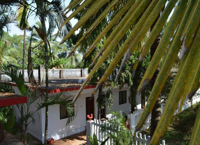 Άλλο Φωτογραφία