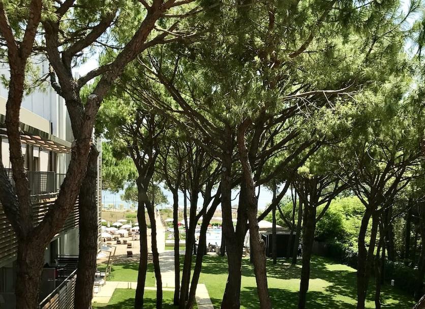 Θέα στην ύπαιθρο Φωτογραφία