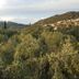 Θέα στην ύπαιθρο