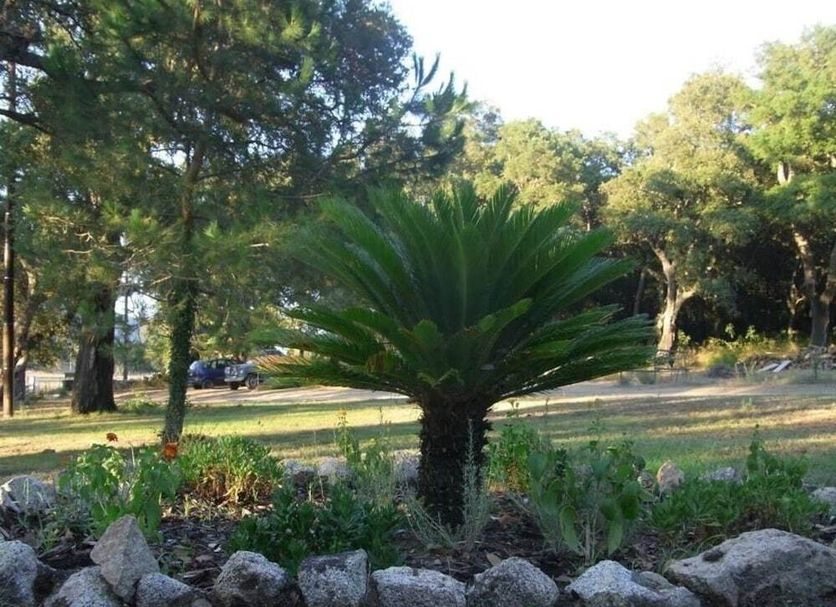 Θέα στην ύπαιθρο Φωτογραφία