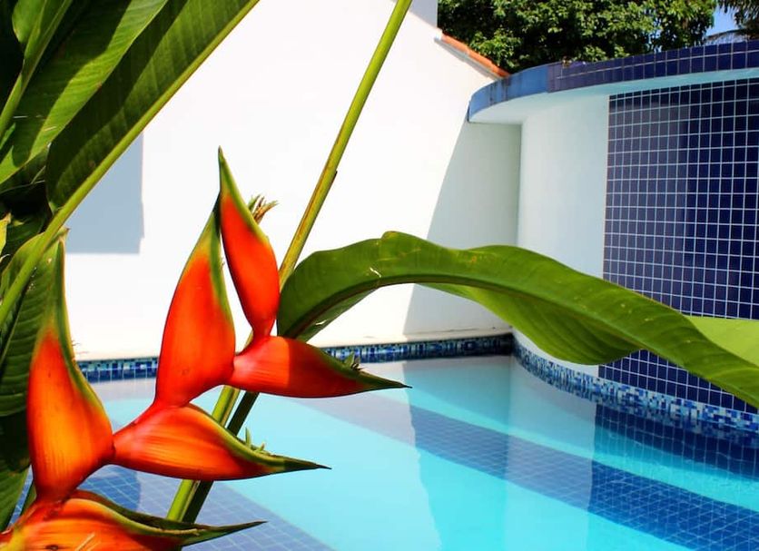 Πισίνα Φωτογραφία