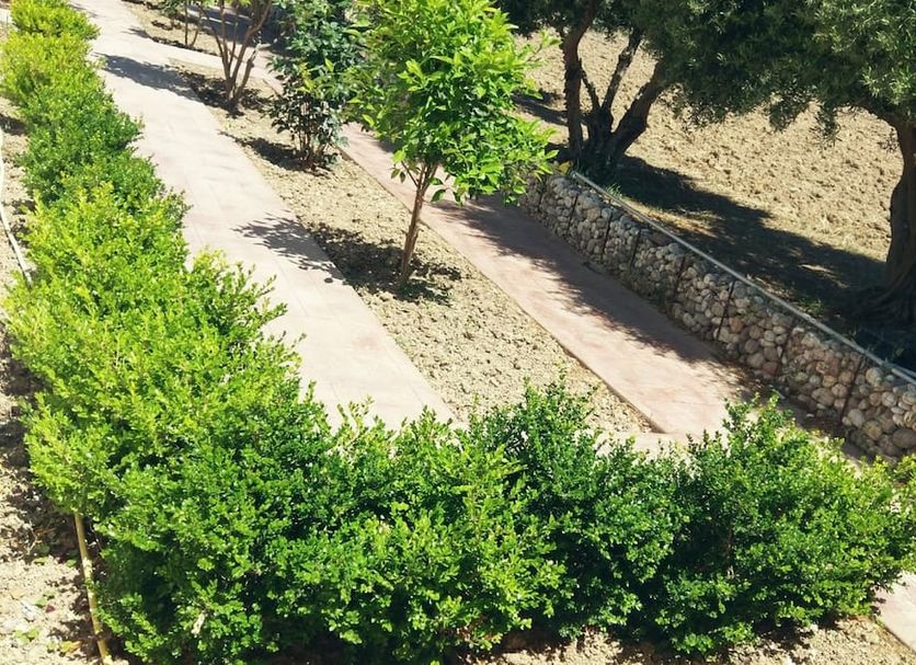 Θέα στην ύπαιθρο Φωτογραφία