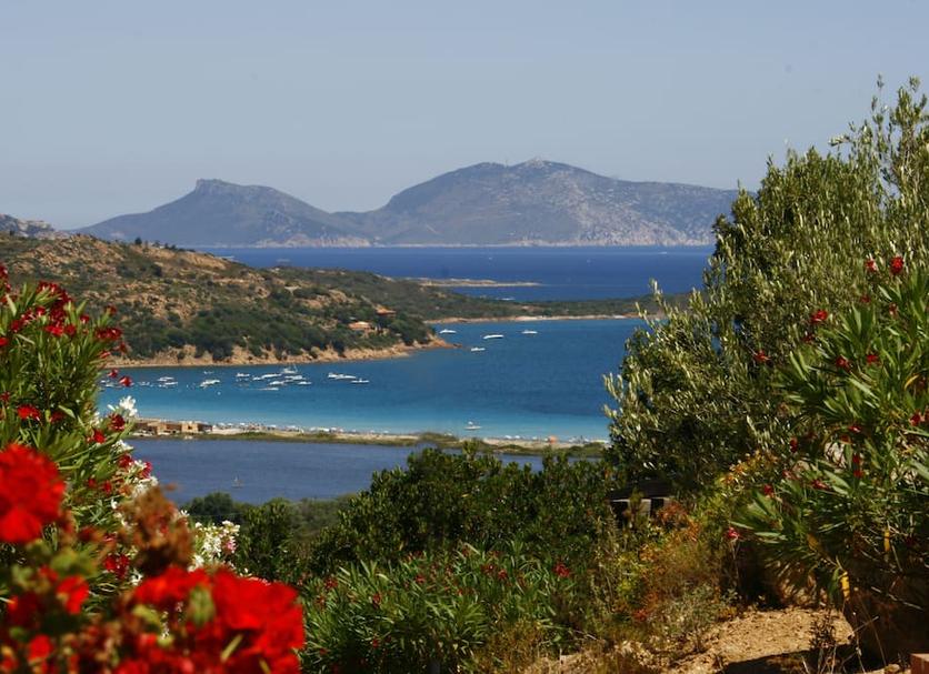 Άλλο Φωτογραφία