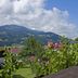Θέα στην ύπαιθρο