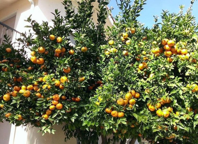 Θέα στην ύπαιθρο Φωτογραφία