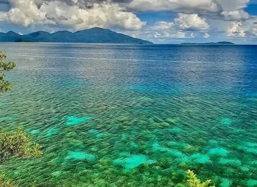Άλλο Φωτογραφία