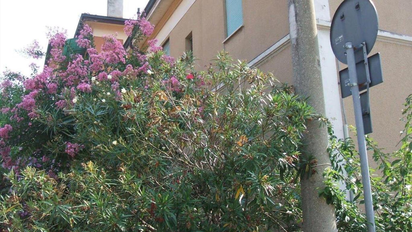 B&B Accorsi