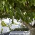 Θέα στην ύπαιθρο
