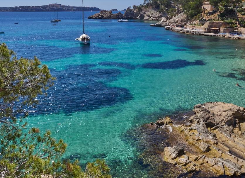 Άλλο Φωτογραφία