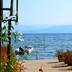 Θέα στην ύπαιθρο