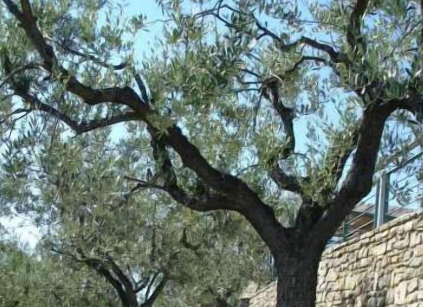 Θέα στην ύπαιθρο Φωτογραφία