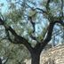 Θέα στην ύπαιθρο