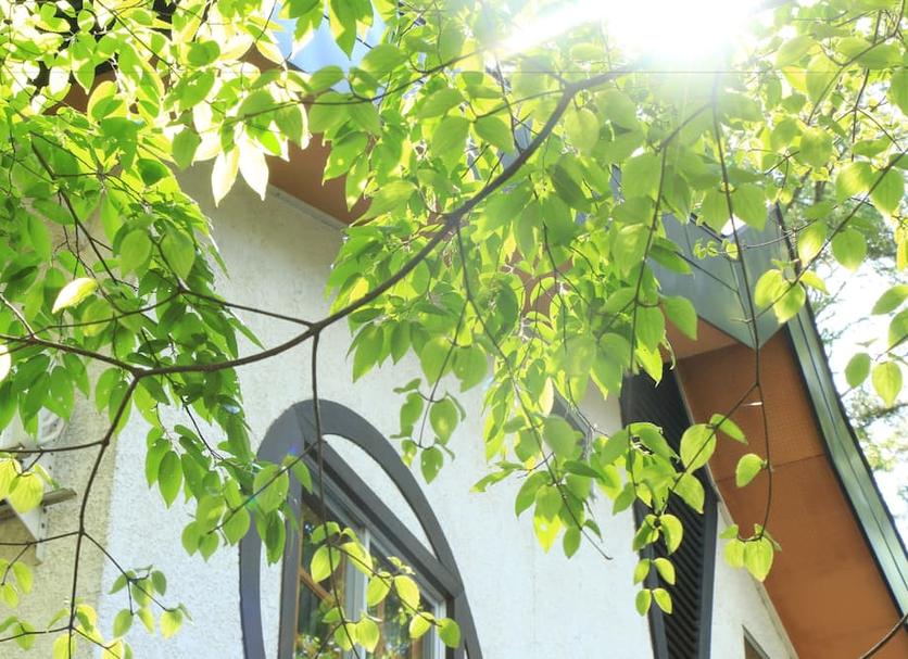 Θέα στην ύπαιθρο Φωτογραφία
