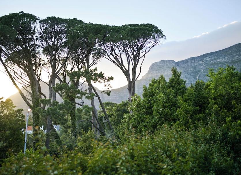 Θέα στην ύπαιθρο Φωτογραφία