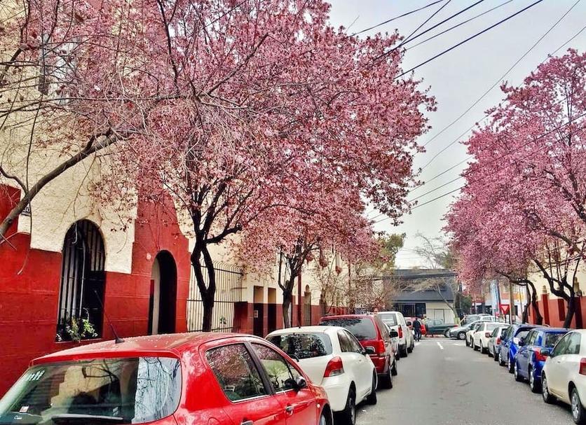 Θέα στην ύπαιθρο Φωτογραφία