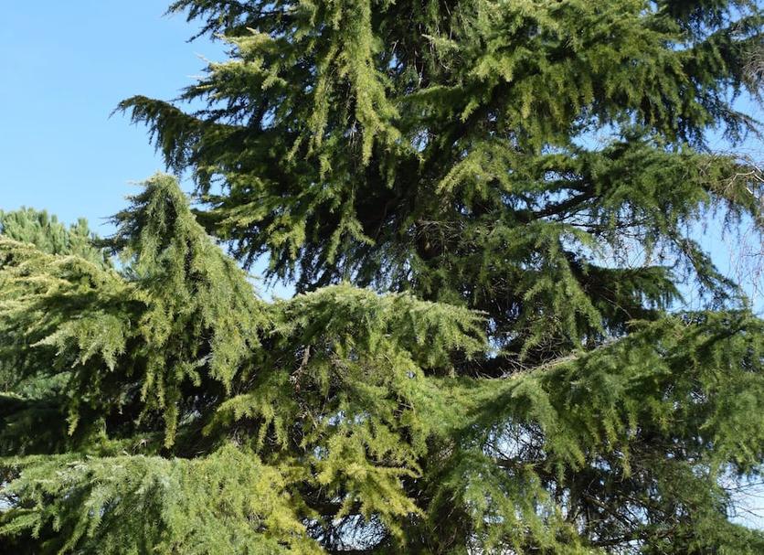Θέα στην ύπαιθρο Φωτογραφία