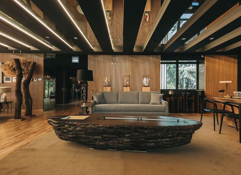 Σαλόνι ξενοδοχείου Φωτογραφία