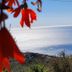 Θέα στην ύπαιθρο