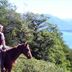Άλλο