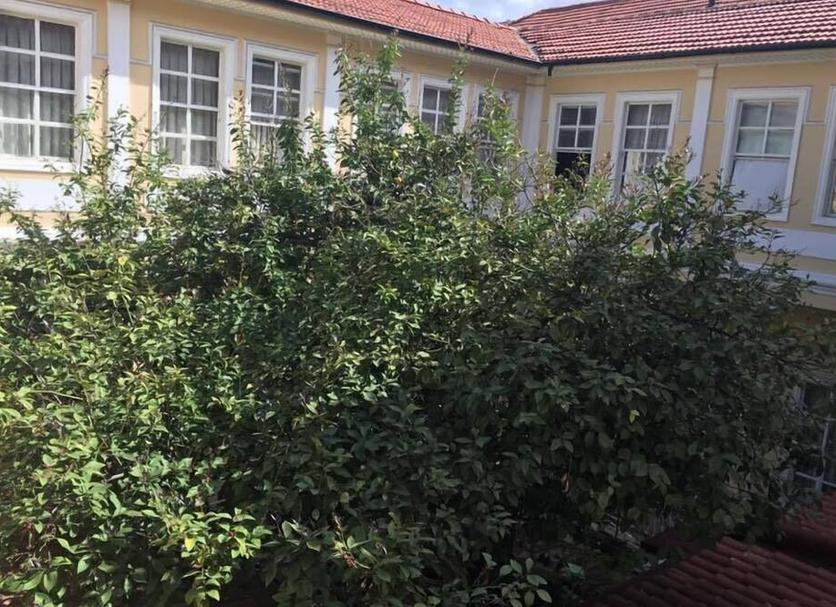 Θέα στην ύπαιθρο Φωτογραφία